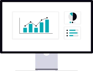 Professional SEO Services